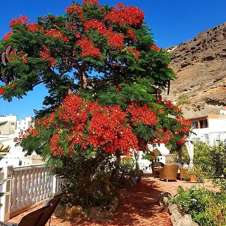 Lina Mogan Puerto De Mogan